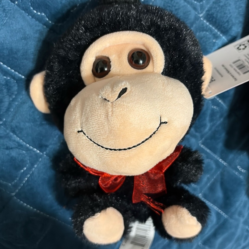 Cute Monkey
